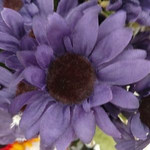 Meet your Posher, Varnada